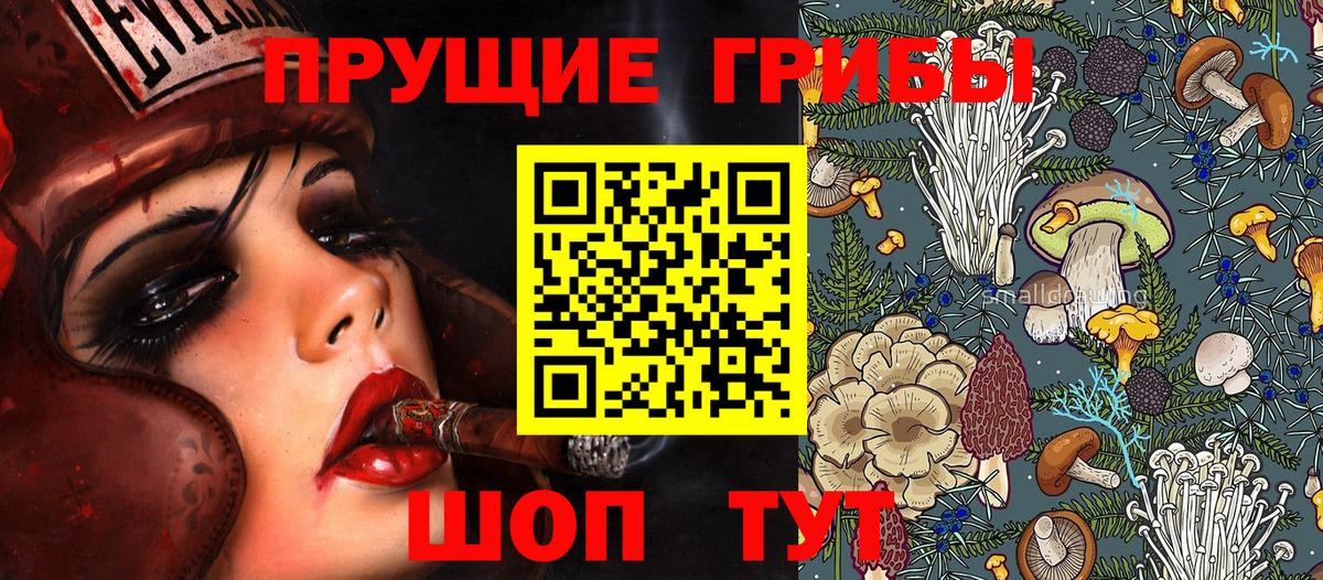 Псилоцибиновые грибы MAGIC MUSHROOMS  где купить наркотик  Кызыл  Псилоцибиновые грибы Magic Shrooms  Вход с VPN 
