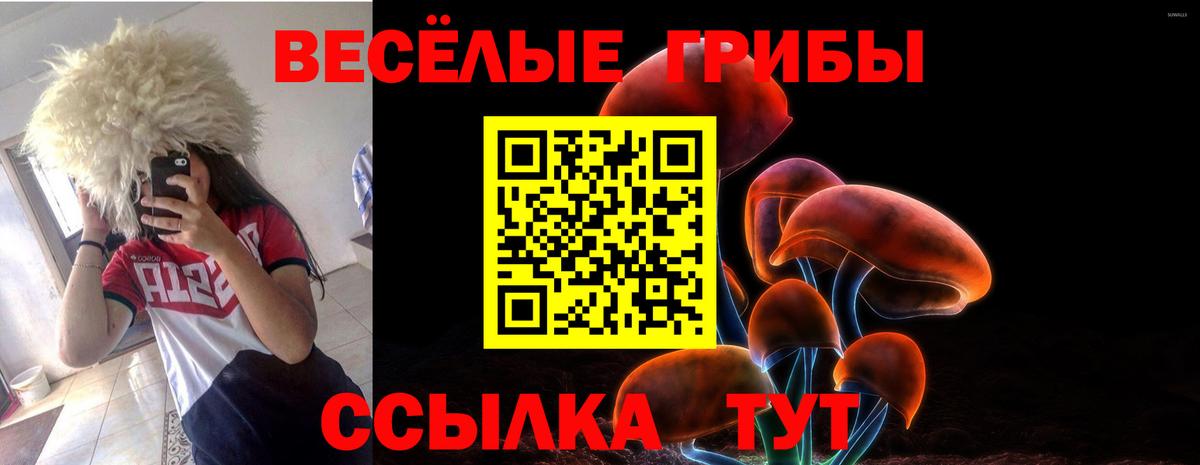 Псилоцибиновые грибы прущие грибы Кызыл